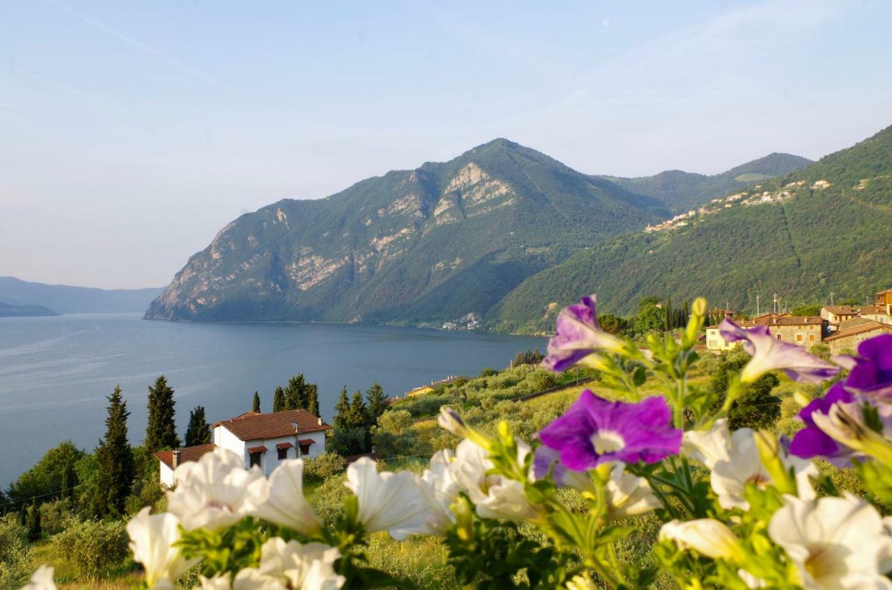 Villa Casa Emilia Riva di Solto Esterno foto